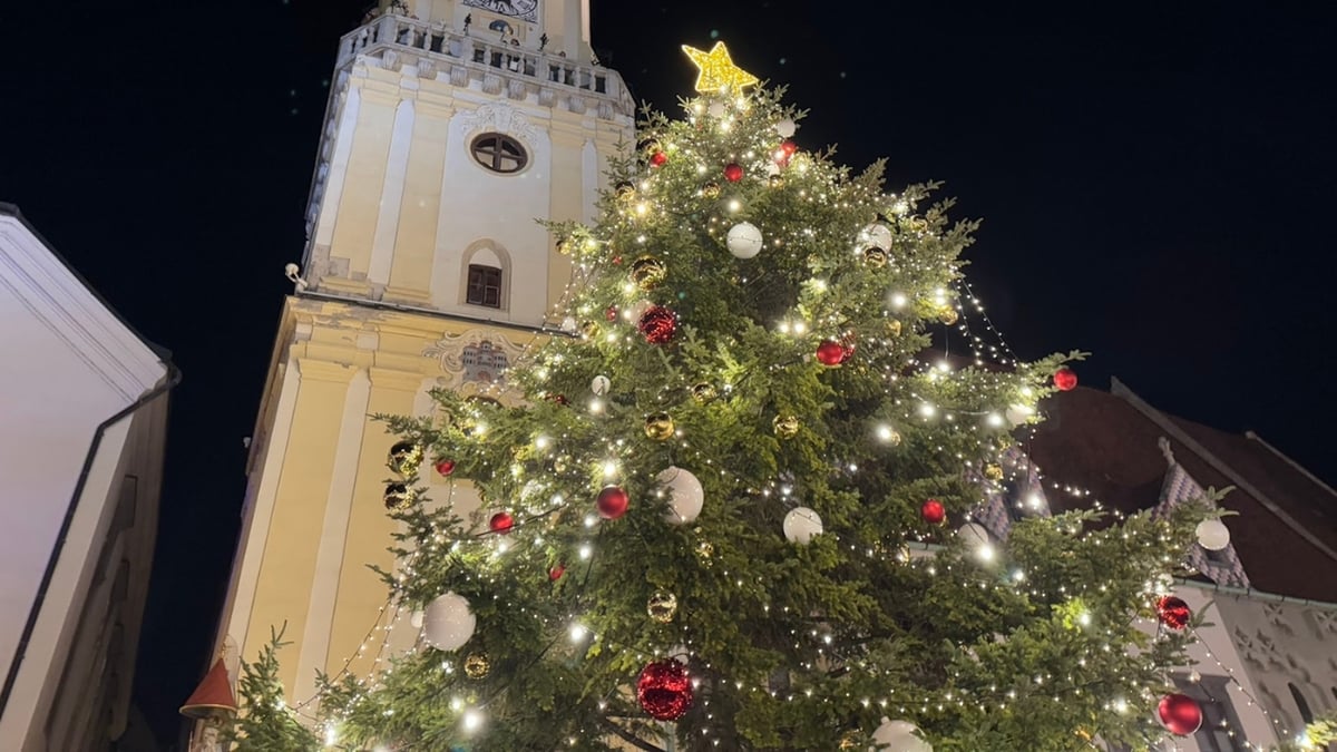 Decorated Christmas tree with lights and ornaments in front of a historic clock tower at night