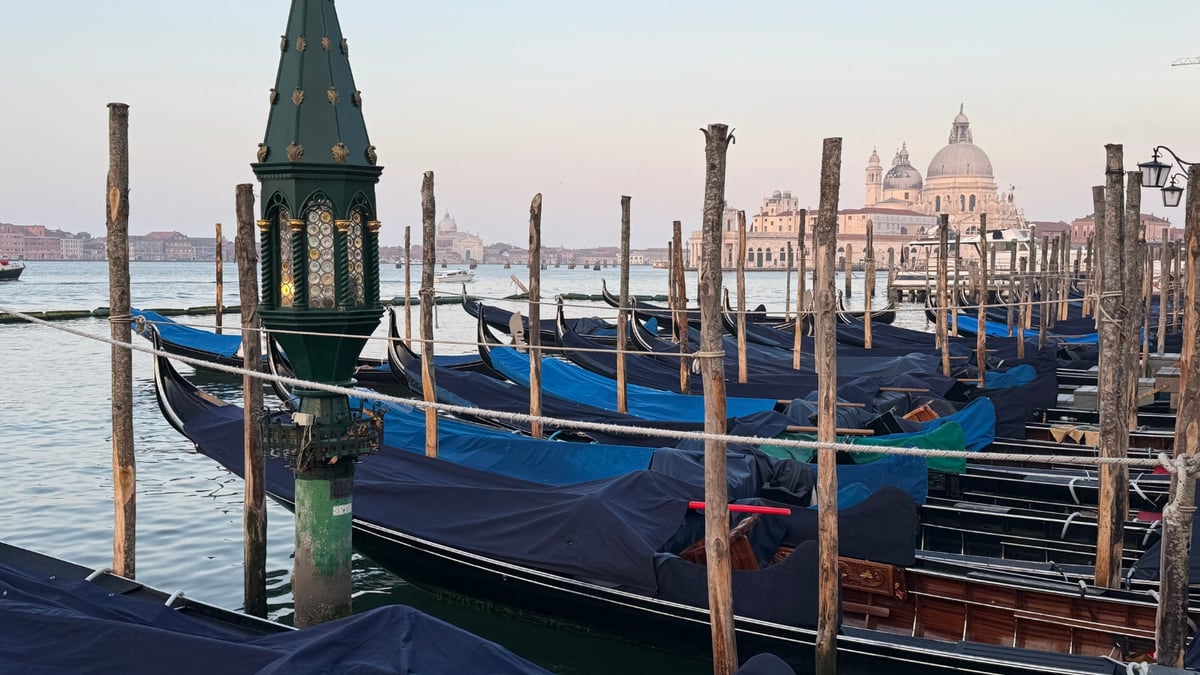 Row of gondolas covered with dark tarps docked on the Venetian waterfront with historic buildings in the background.