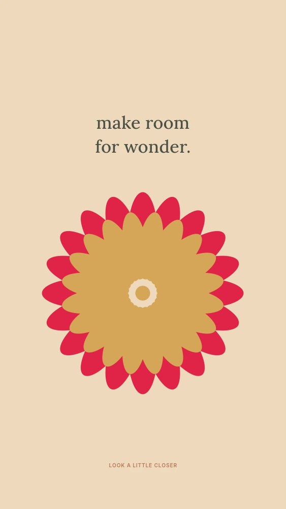 Daisy rosette · 20-fold symmetry and 2 layers in Make room for wonder · Abstract wallpaper