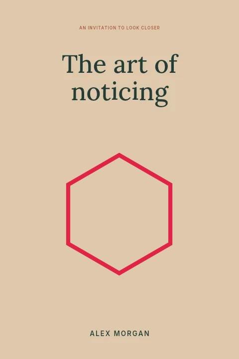 6 sided outline polygon frame in The art of noticing · Book cover