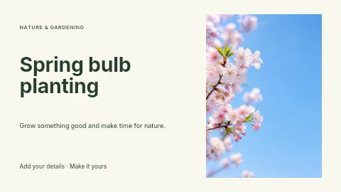 delicate cherry blossoms against blue sky in Spring bulb planting youtube thumbnail template