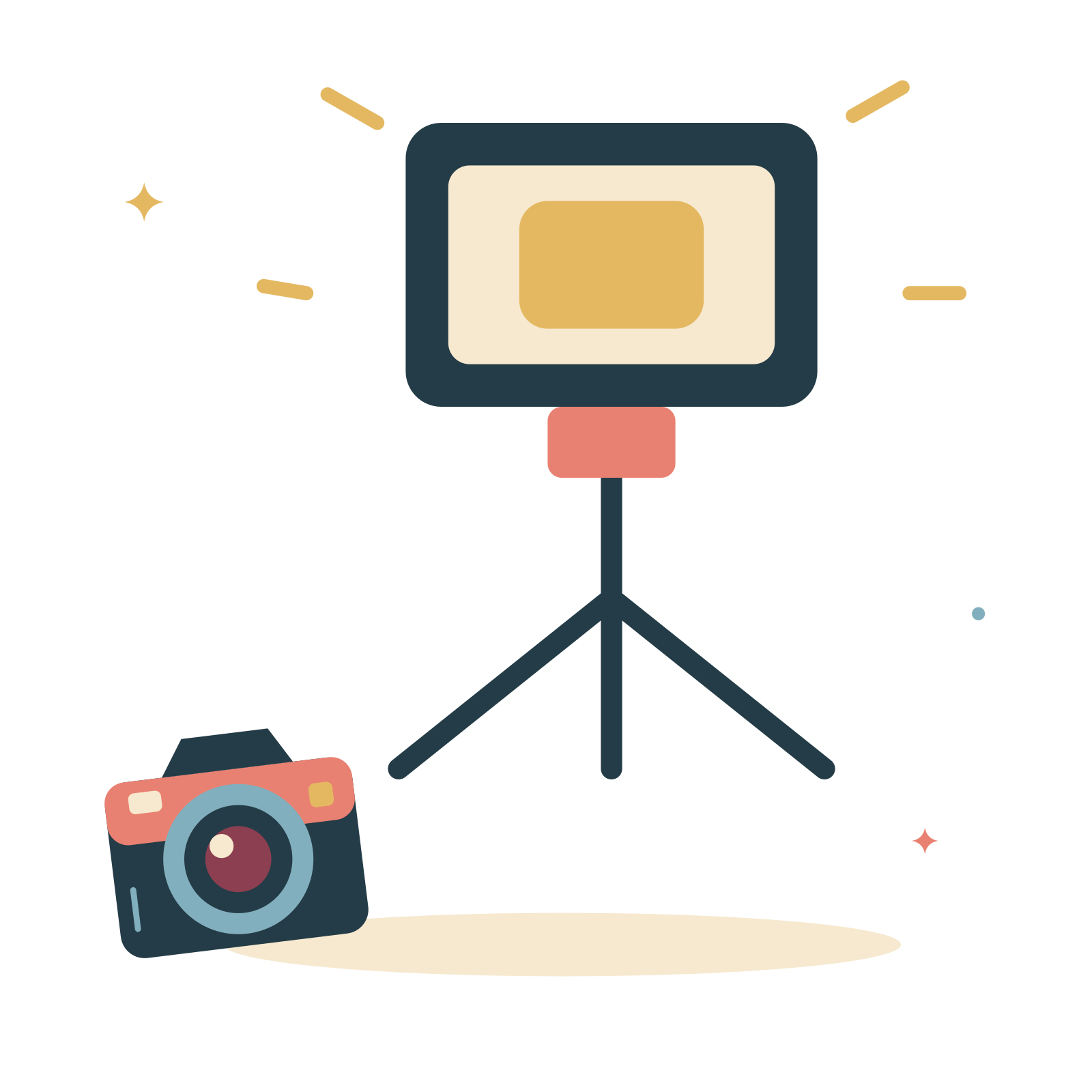 Studio light and a portrait camera.