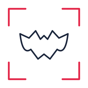 Halloween bat in a sketch frame drawing with clear rounded lines.