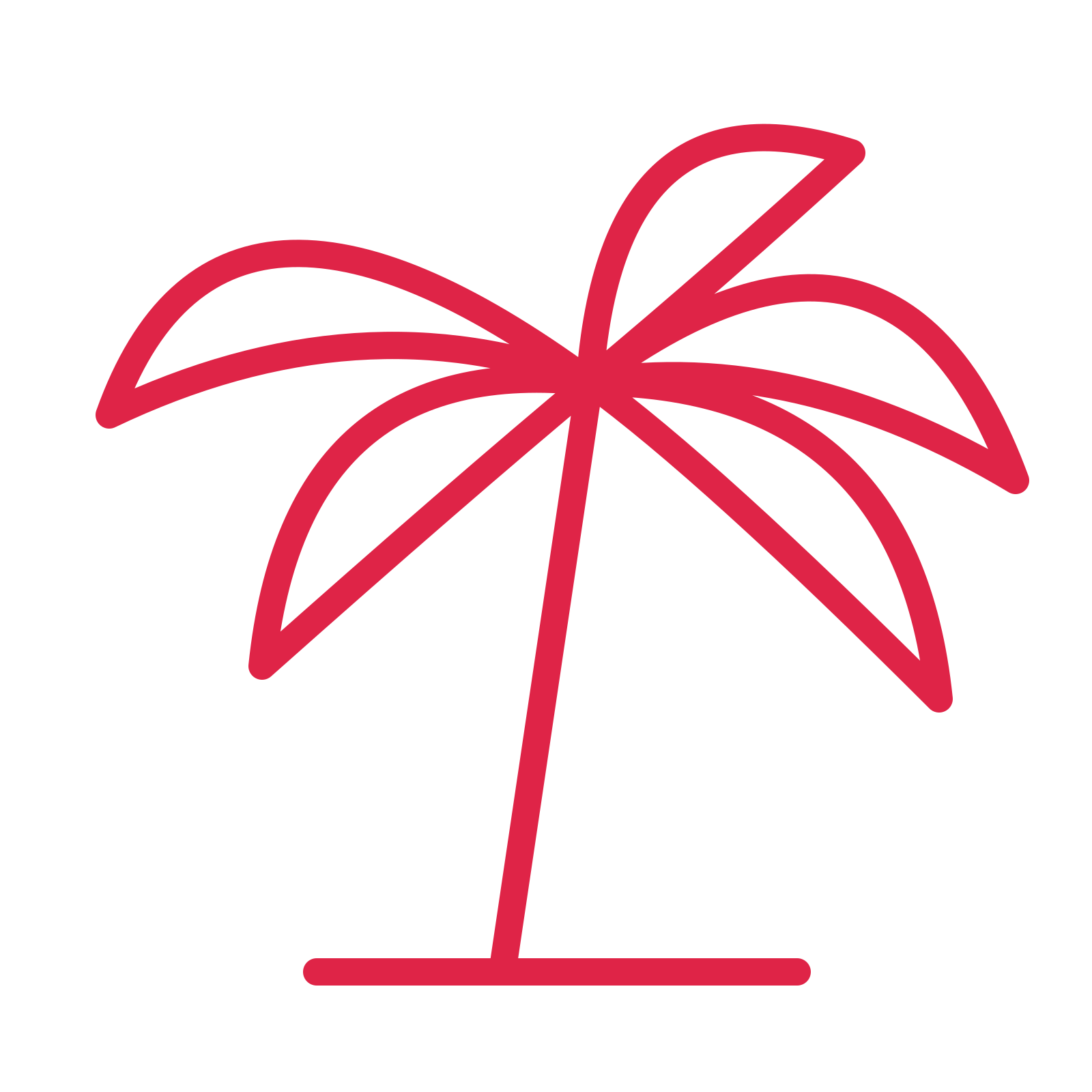 Holiday palm tree in an outline drawing with clear rounded lines.