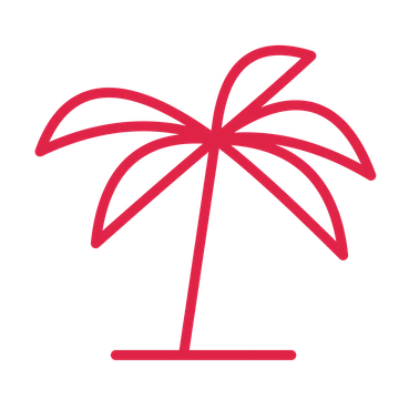 Holiday palm tree in an outline drawing with clear rounded lines.