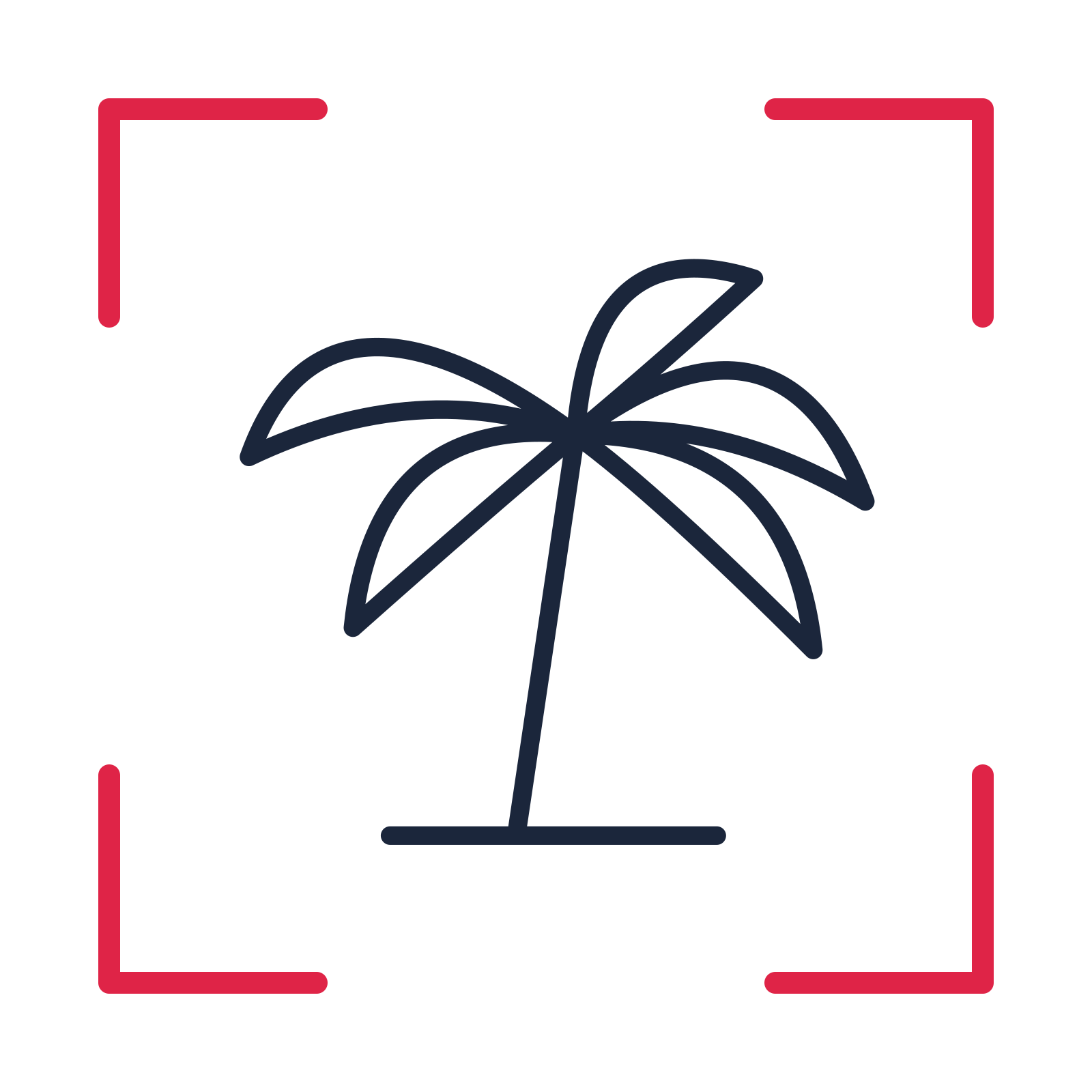 Holiday palm tree in a sketch frame drawing with clear rounded lines.