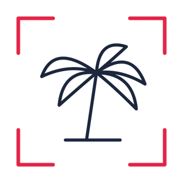 Holiday palm tree in a sketch frame drawing with clear rounded lines.