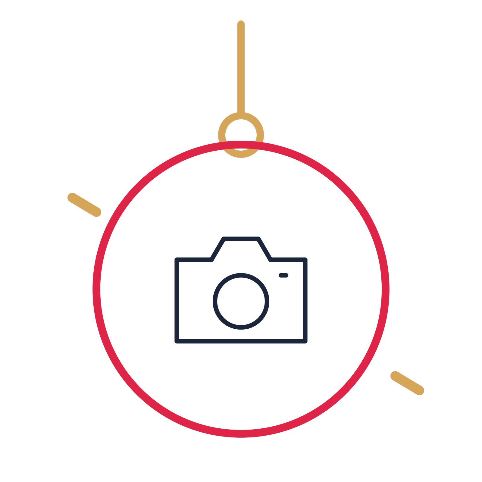 A hanging ornament composition featuring photography camera for Photography designs.