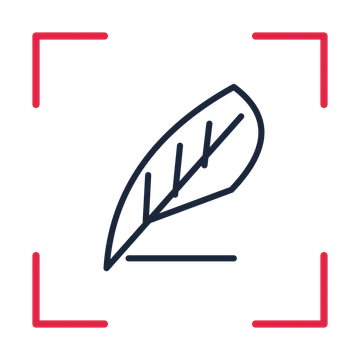 Author writing quill in a sketch frame drawing with clear rounded lines.