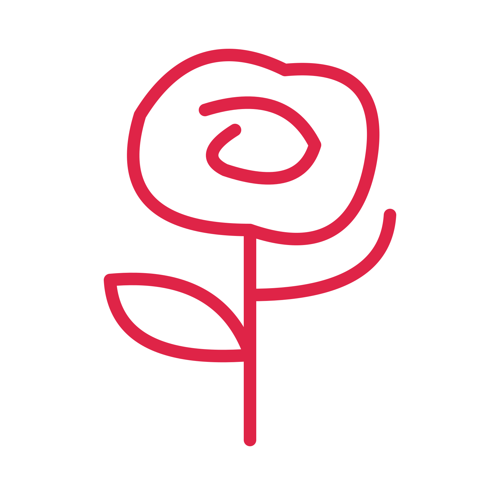 Mother’s Day rose stem in an outline drawing with clear rounded lines.
