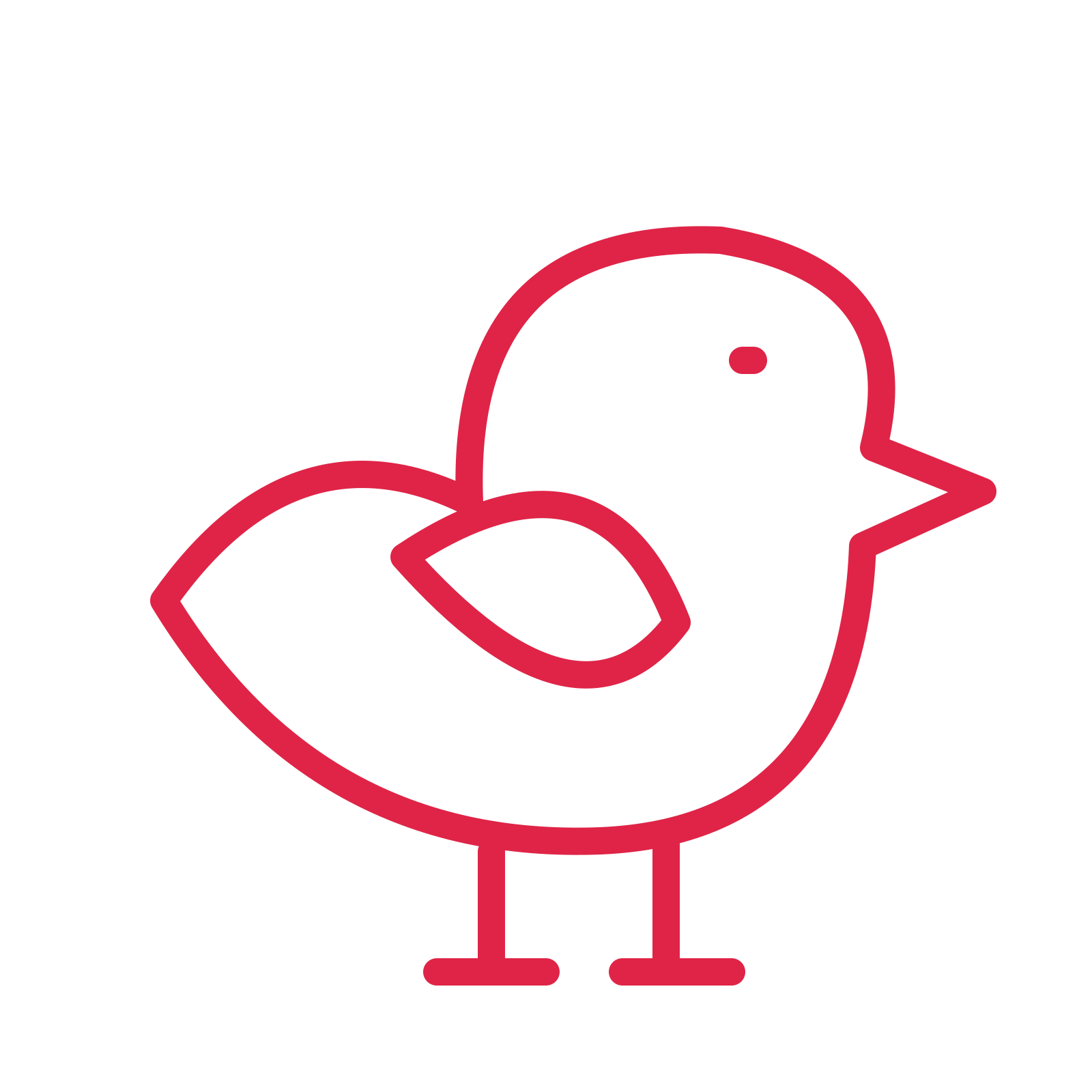 Garden songbird in an outline drawing with clear rounded lines.