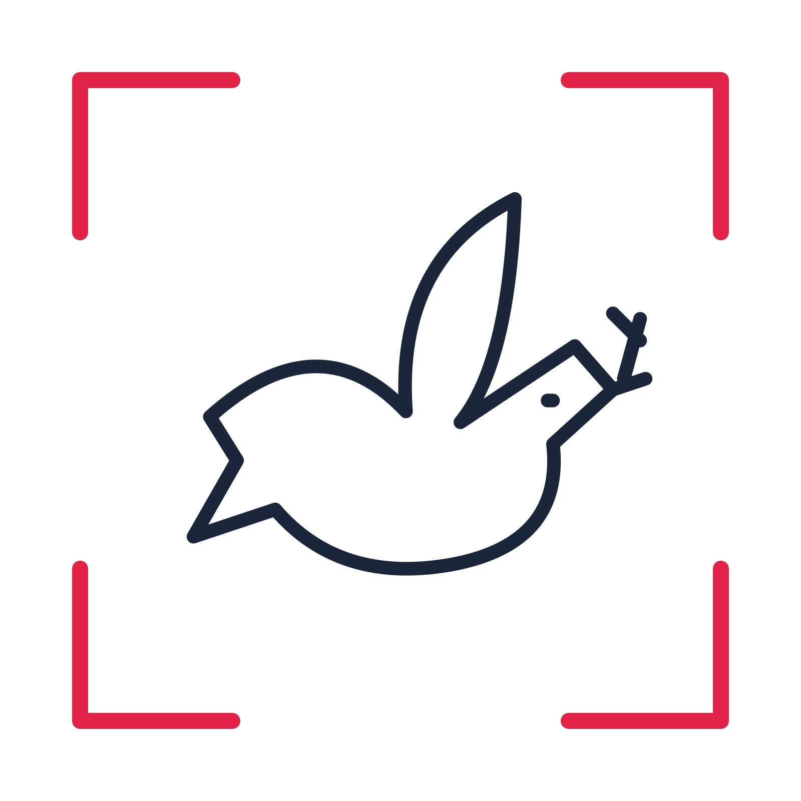Wedding dove carrying a leaf in a sketch frame drawing with clear rounded lines.