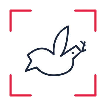 Wedding dove carrying a leaf in a sketch frame drawing with clear rounded lines.