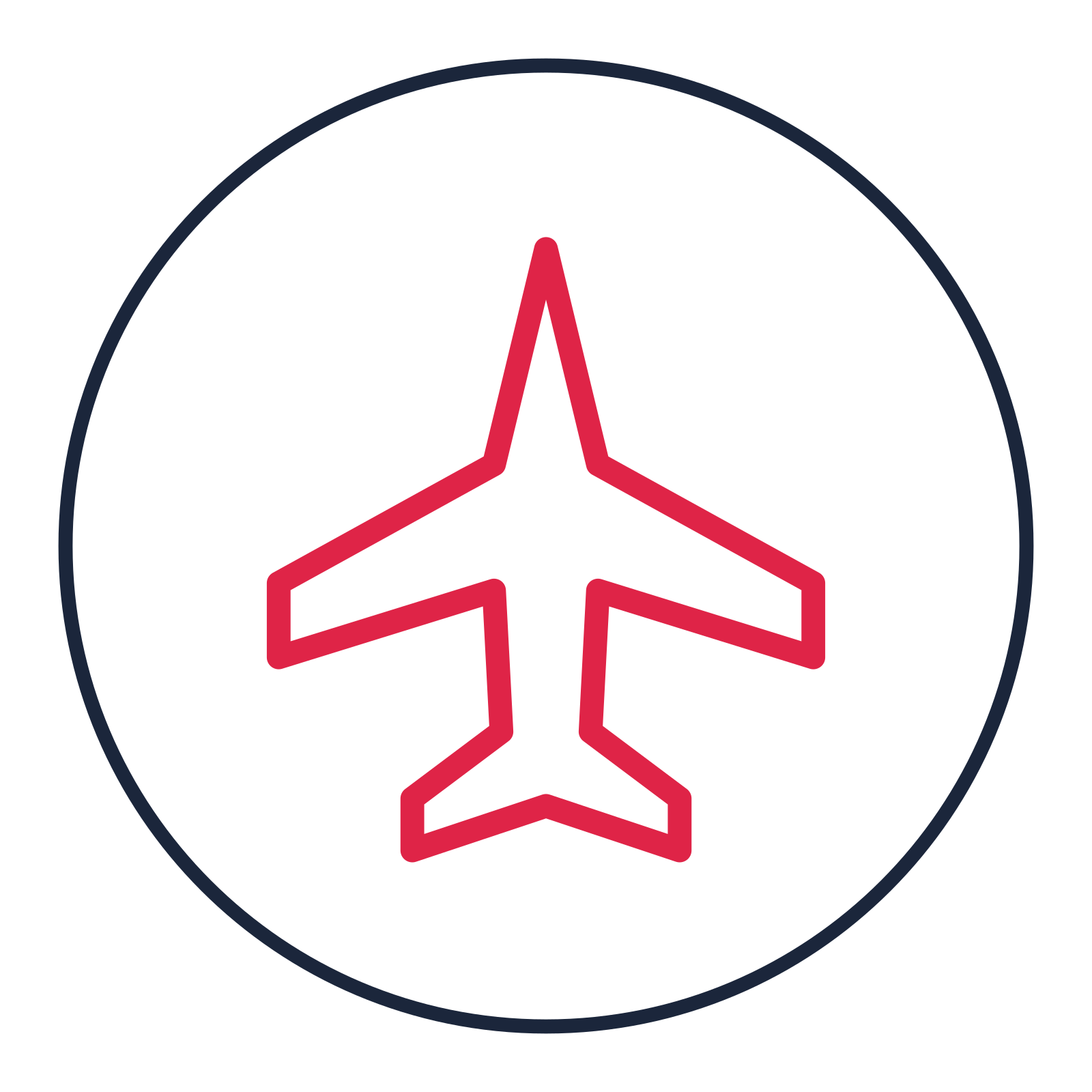 Passenger airplane drawn as a medallion icon with clean rounded lines.
