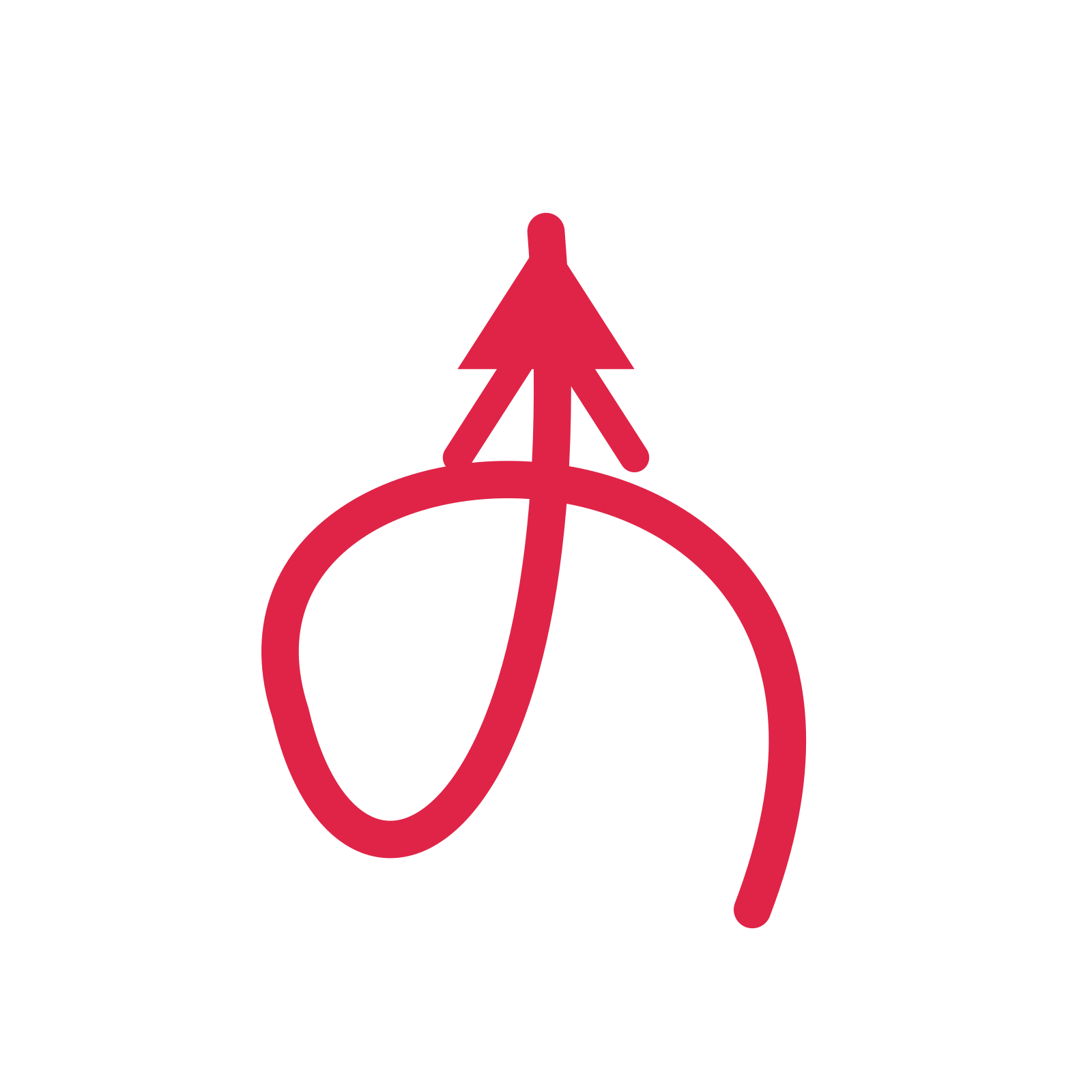 A loop directional arrow pointing north with a double arrowhead.