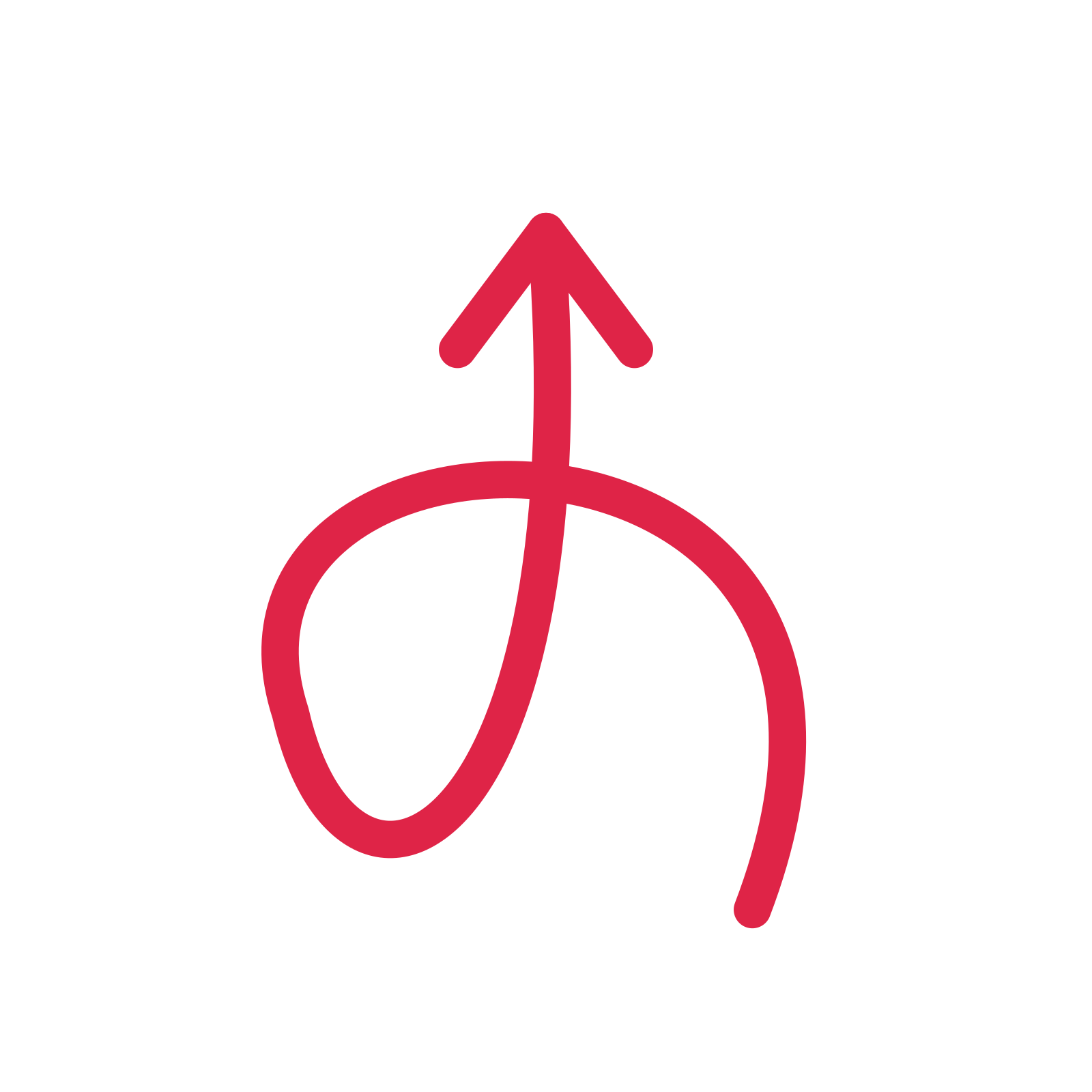 A loop directional arrow pointing north with an open arrowhead.