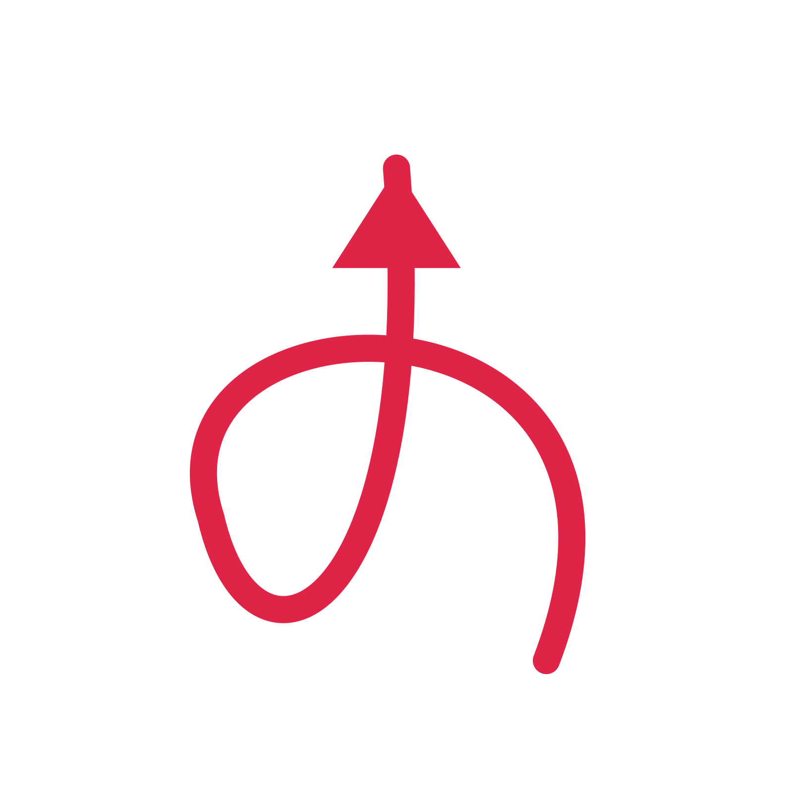 A loop directional arrow pointing north with a solid arrowhead.