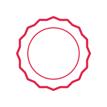 An open 16-point badge with shallow scallops, without a ribbon.