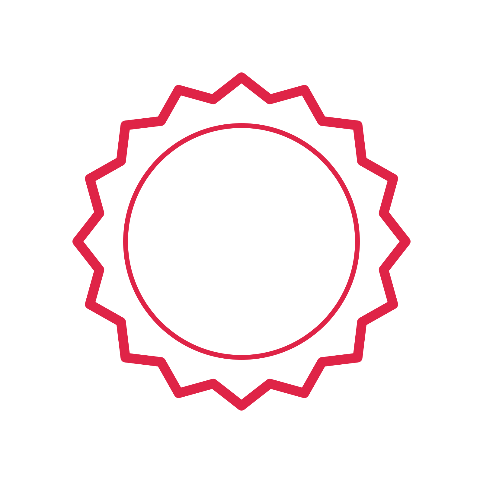 An open 16-point badge with soft scallops, without a ribbon.