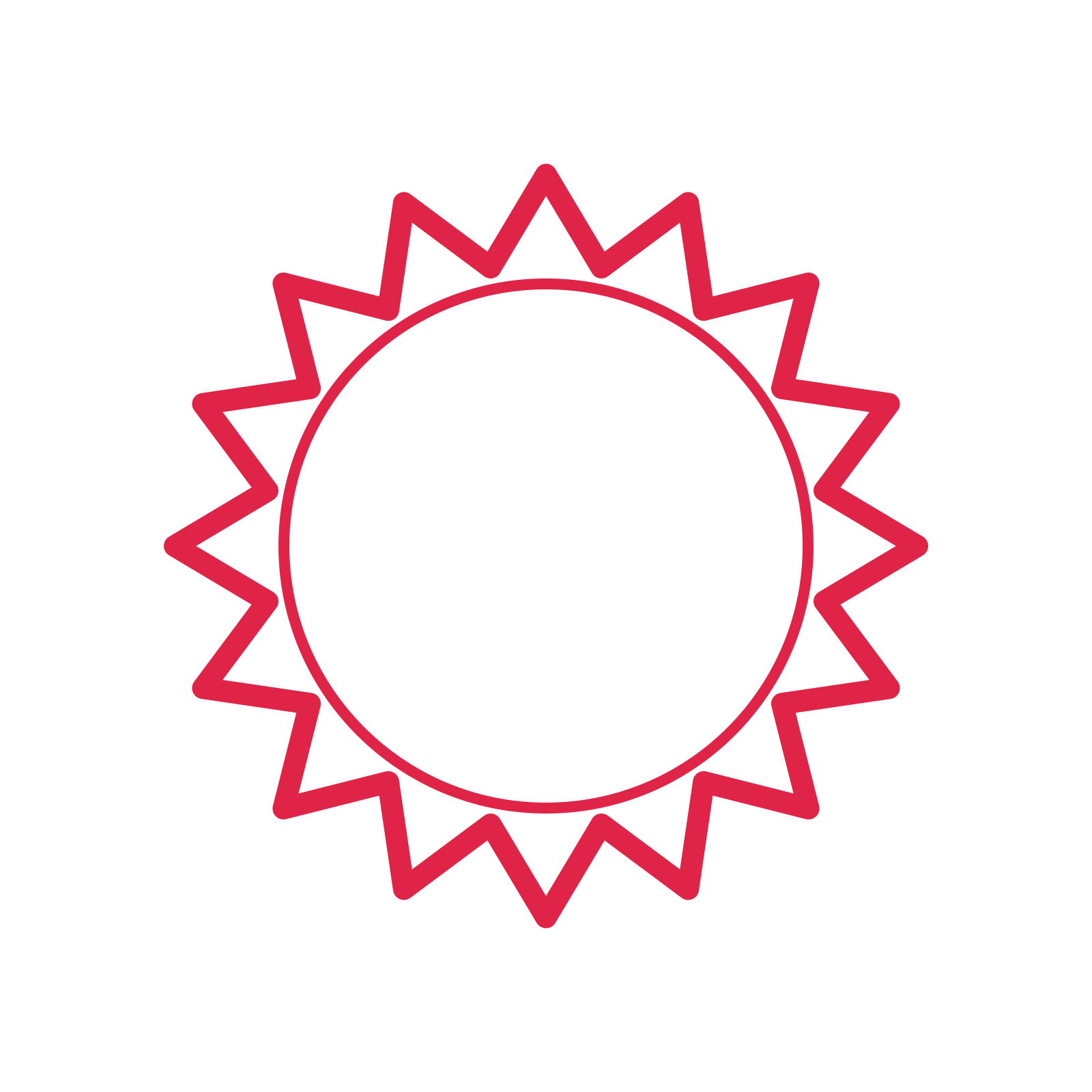 An open 16-point badge with pronounced scallops, without a ribbon.