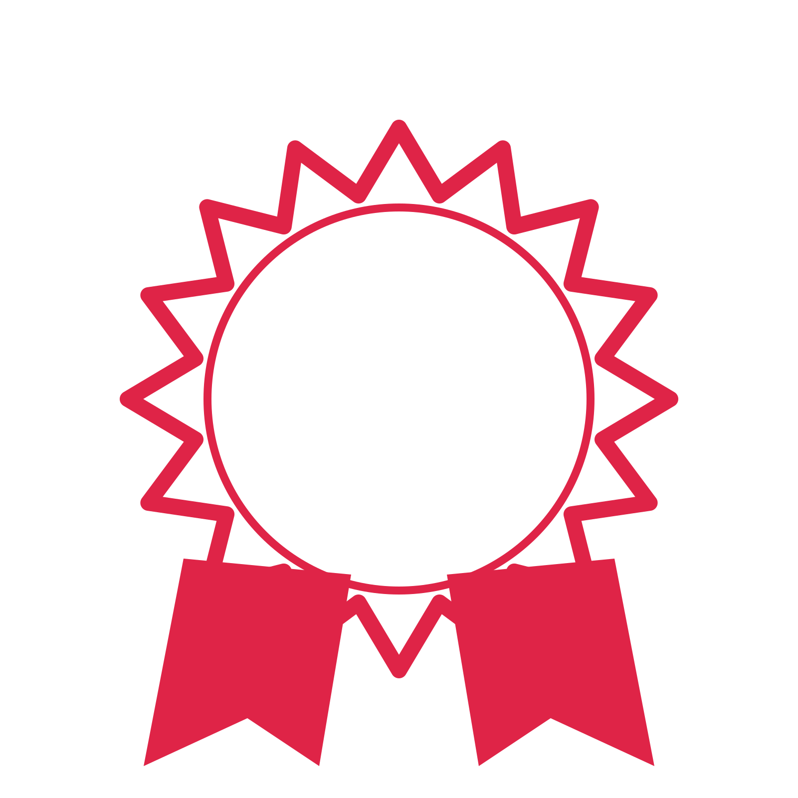 An open 16-point badge with pronounced scallops, with a split ribbon.