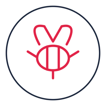 Bumblebee drawn as a medallion icon with clean rounded lines.