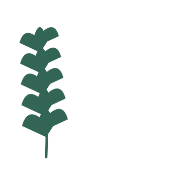 Ginkgo foliage in an corner arrangement, with 5 pairs of leaves on each stem.