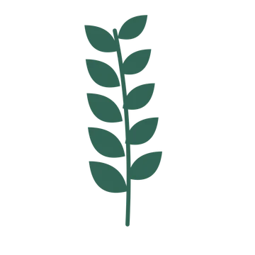 Laurel foliage in an upright arrangement, with 5 pairs of leaves on each stem.