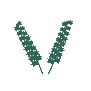 Maple foliage in an paired arrangement, with 8 pairs of leaves on each stem.