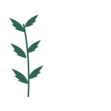 Palm foliage in an corner arrangement, with 3 pairs of leaves on each stem.
