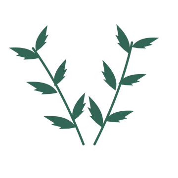 Palm foliage in an paired arrangement, with 3 pairs of leaves on each stem.