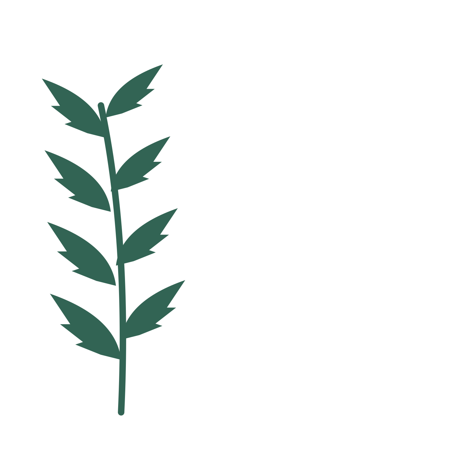Palm foliage in an corner arrangement, with 4 pairs of leaves on each stem.