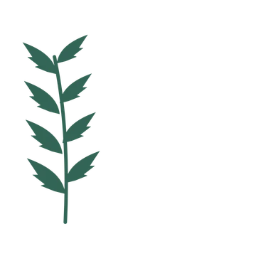 Palm foliage in an corner arrangement, with 4 pairs of leaves on each stem.