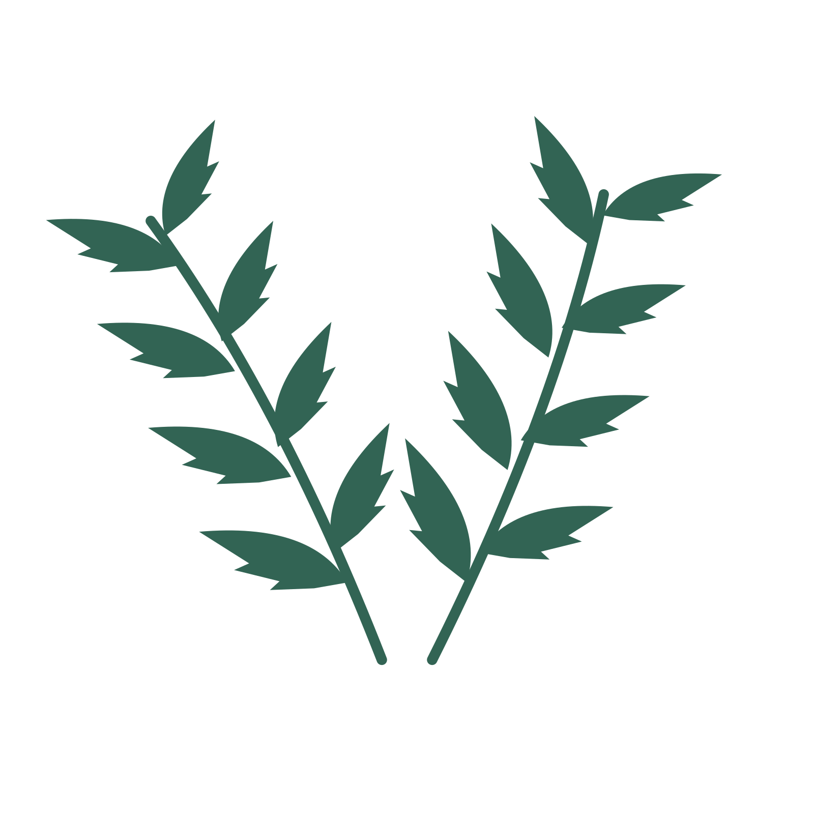 Palm foliage in an paired arrangement, with 4 pairs of leaves on each stem.