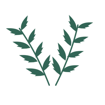 Palm foliage in an paired arrangement, with 4 pairs of leaves on each stem.