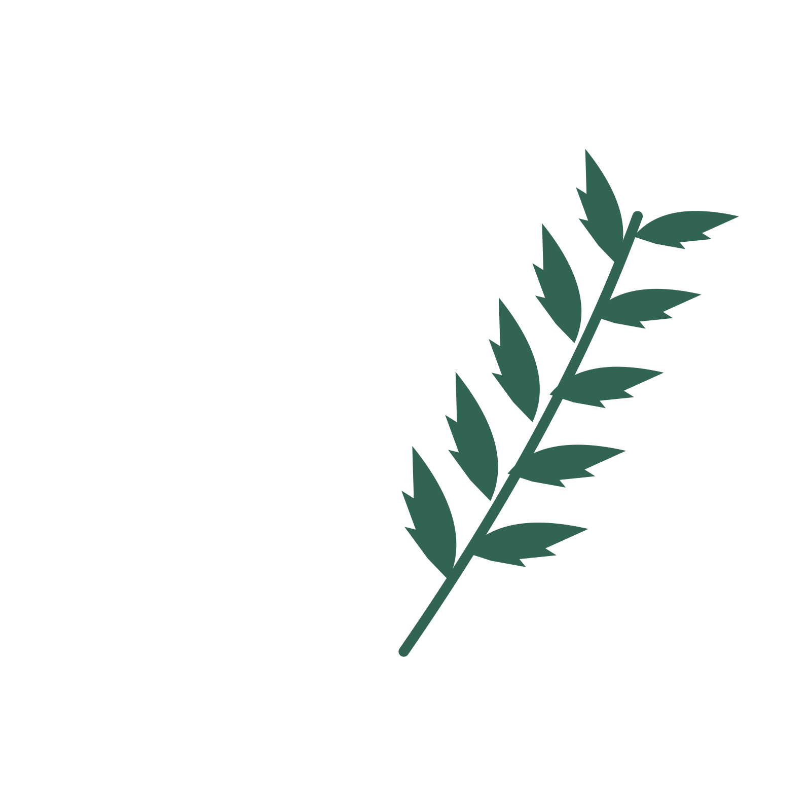 Palm foliage in an arching arrangement, with 5 pairs of leaves on each stem.