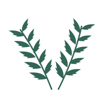 Palm foliage in an paired arrangement, with 5 pairs of leaves on each stem.