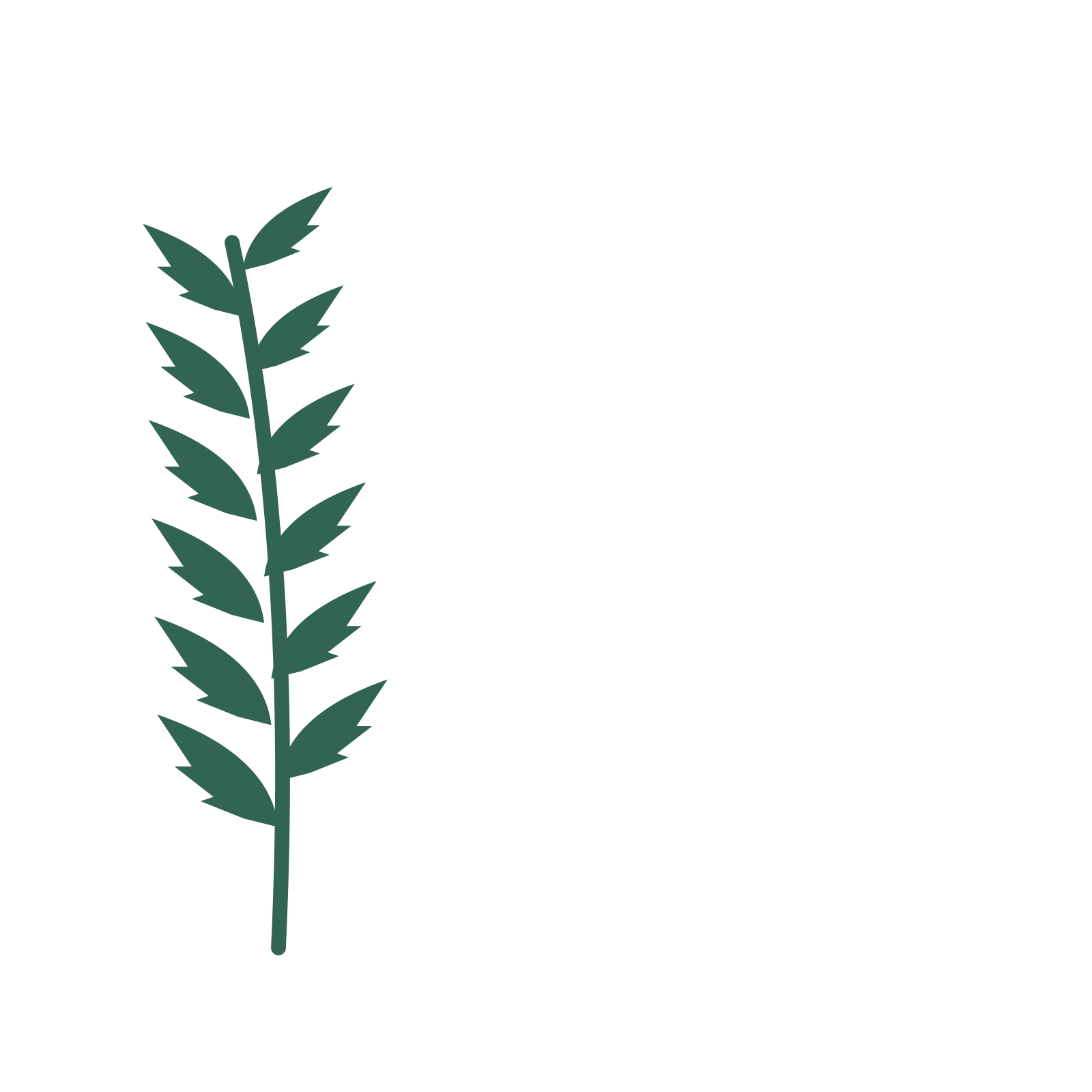 Palm foliage in an corner arrangement, with 6 pairs of leaves on each stem.