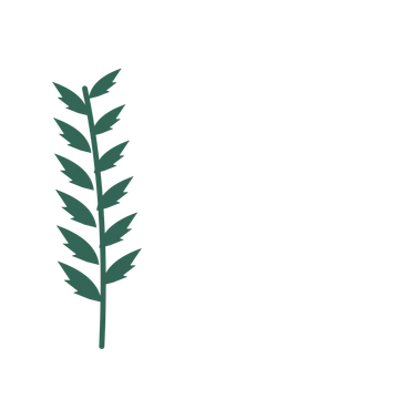 Palm foliage in an corner arrangement, with 6 pairs of leaves on each stem.