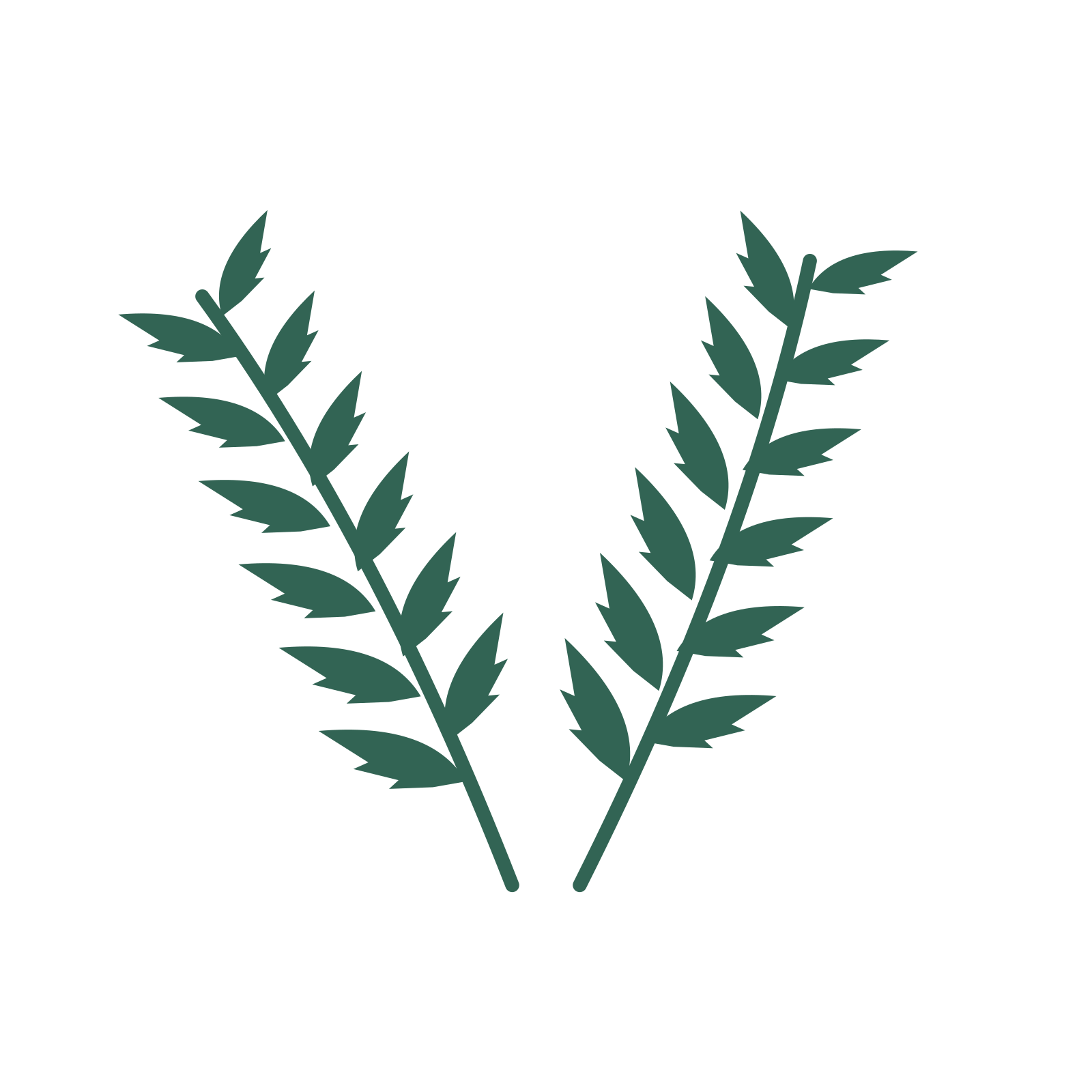 Palm foliage in an paired arrangement, with 6 pairs of leaves on each stem.