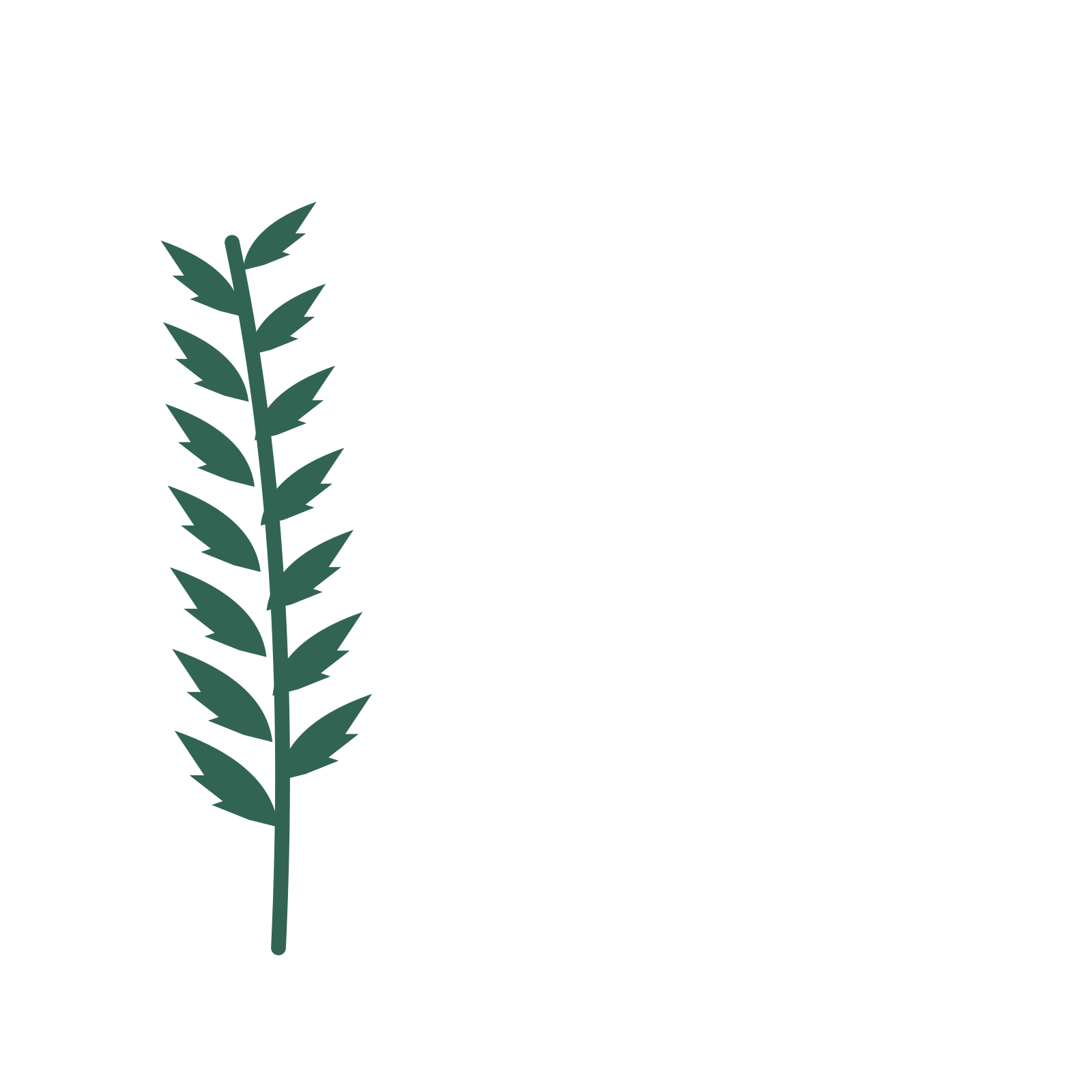 Palm foliage in an corner arrangement, with 7 pairs of leaves on each stem.