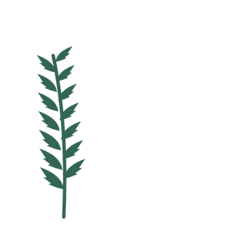 Palm foliage in an corner arrangement, with 7 pairs of leaves on each stem.