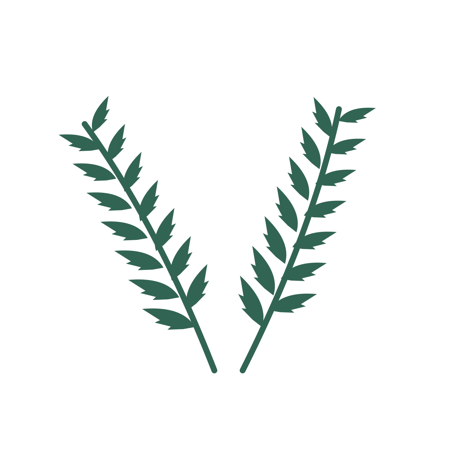 Palm foliage in an paired arrangement, with 7 pairs of leaves on each stem.