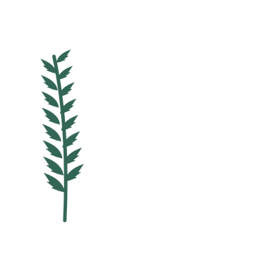 Palm foliage in an corner arrangement, with 8 pairs of leaves on each stem.