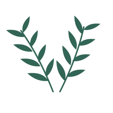 Willow foliage in an paired arrangement, with 4 pairs of leaves on each stem.