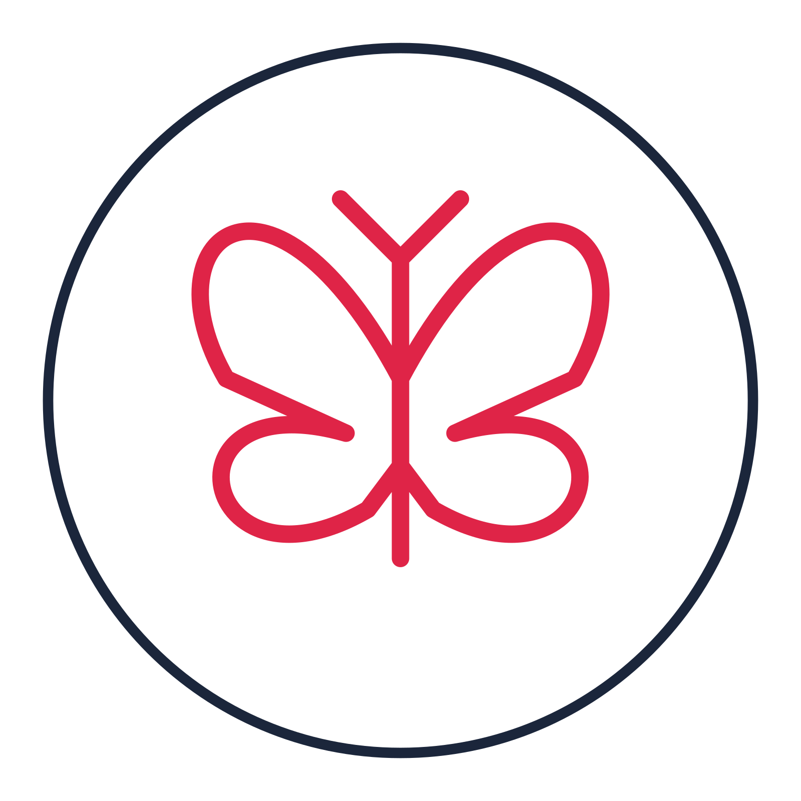 Garden butterfly drawn as a medallion icon with clean rounded lines.
