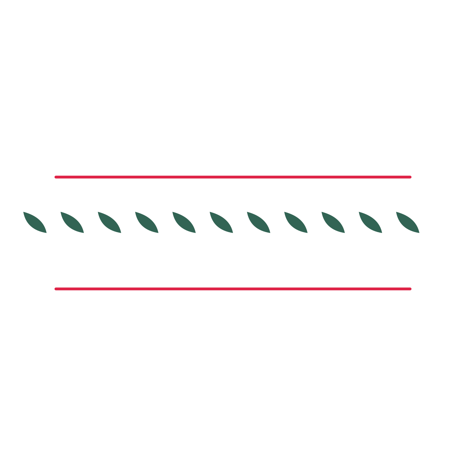 A decorative divider with 11 leaf motifs arranged in a line, between two fine horizontal rules.