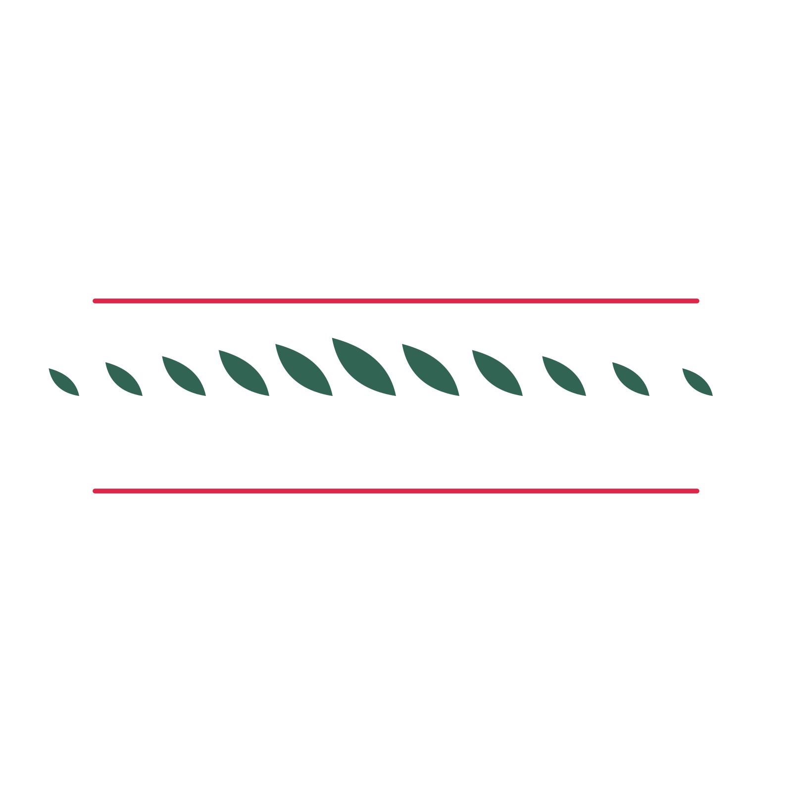 A decorative divider with 11 leaf motifs arranged in a tapered, between two fine horizontal rules.