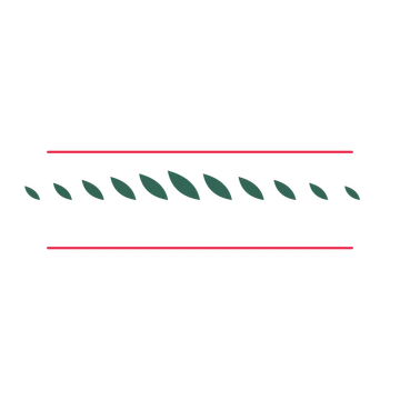 A decorative divider with 11 leaf motifs arranged in a tapered, between two fine horizontal rules.