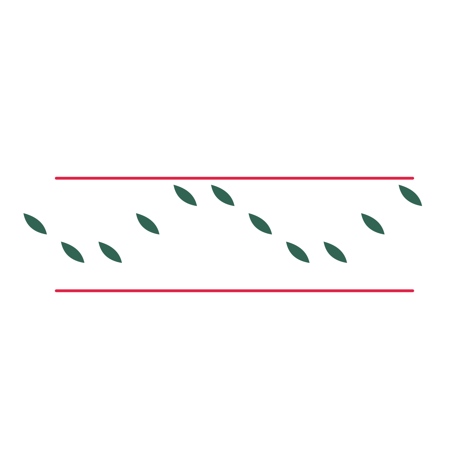A decorative divider with 11 leaf motifs arranged in a wave, between two fine horizontal rules.